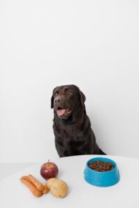 Best Diet Plans for Pets: