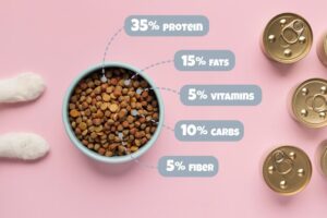 Best food brands for cats 